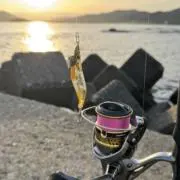 ななの画像