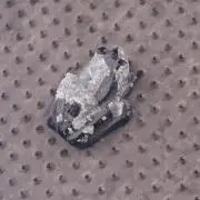 フロッグ