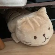 ヒロスティの画像