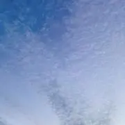 まるみの画像