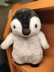 だまやの画像