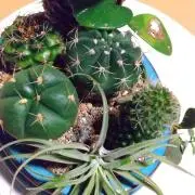 永田てつこ