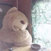 kankanの画像