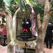 ちかの画像