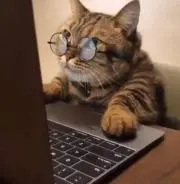 yut