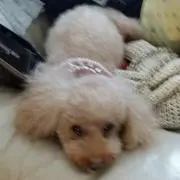 ココナッツ☺