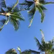 Sky＊プロフ必読の画像