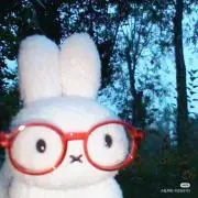 かぼちゃの画像