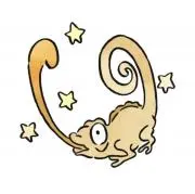 ちょこの画像