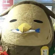 しらすの画像
