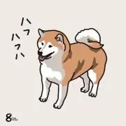 shibashiba