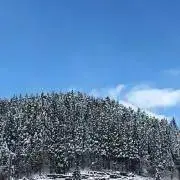 Ｎ.の画像