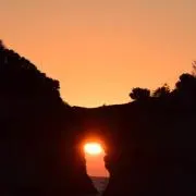 Y. 【プロフ読んでください！】の画像