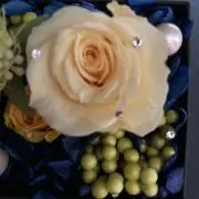 ねこ・プロフィールご覧下さいの画像