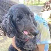 kycの画像