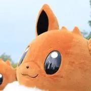 はたなかの画像