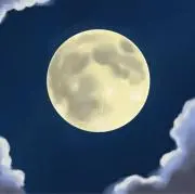 ゆす