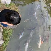 アルアル
