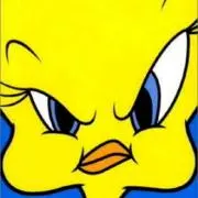 yyy
