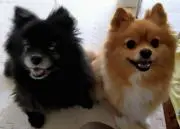 ＊＊くう＊＊