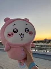 エミュの画像