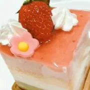 うさぎの画像