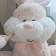 ばにらの画像