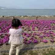 みあ