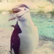 ノーネームの画像