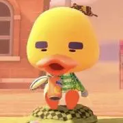ぽちゃこ。の画像