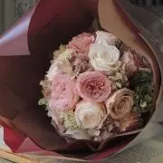 しろの画像