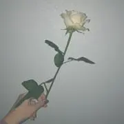 k.の画像