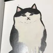 ゆうこ