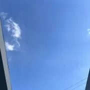 ぽぽの画像
