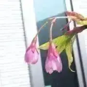 ☺︎→断捨離中→売り切りたい！の画像