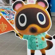 わたあめの画像