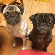 え〜ちゃん