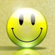ニコの画像