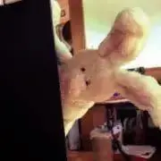 あず