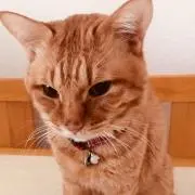 イチ