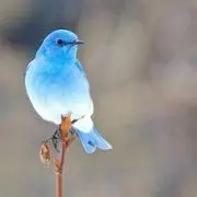 ソラ