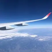 ニコの画像