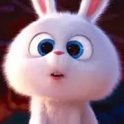 スノーボールの画像