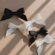 さらの画像