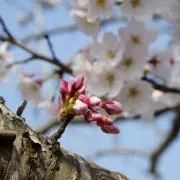 china☆断捨離中！の画像