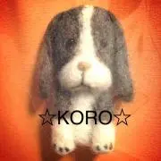 ☆KORO☆の画像
