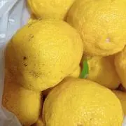 Yuzuの画像