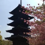 官兵衛半兵衛の画像