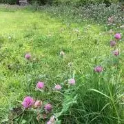 chiekoの画像