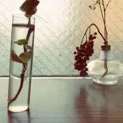 mmayuの画像